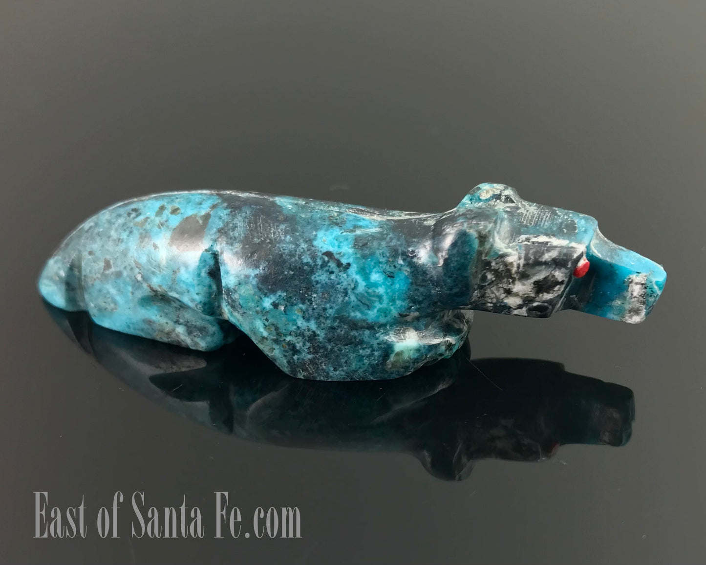 Turquoise Bear w Red Coral Eyes Zuni Fetish Native American - Reynold Lunasee